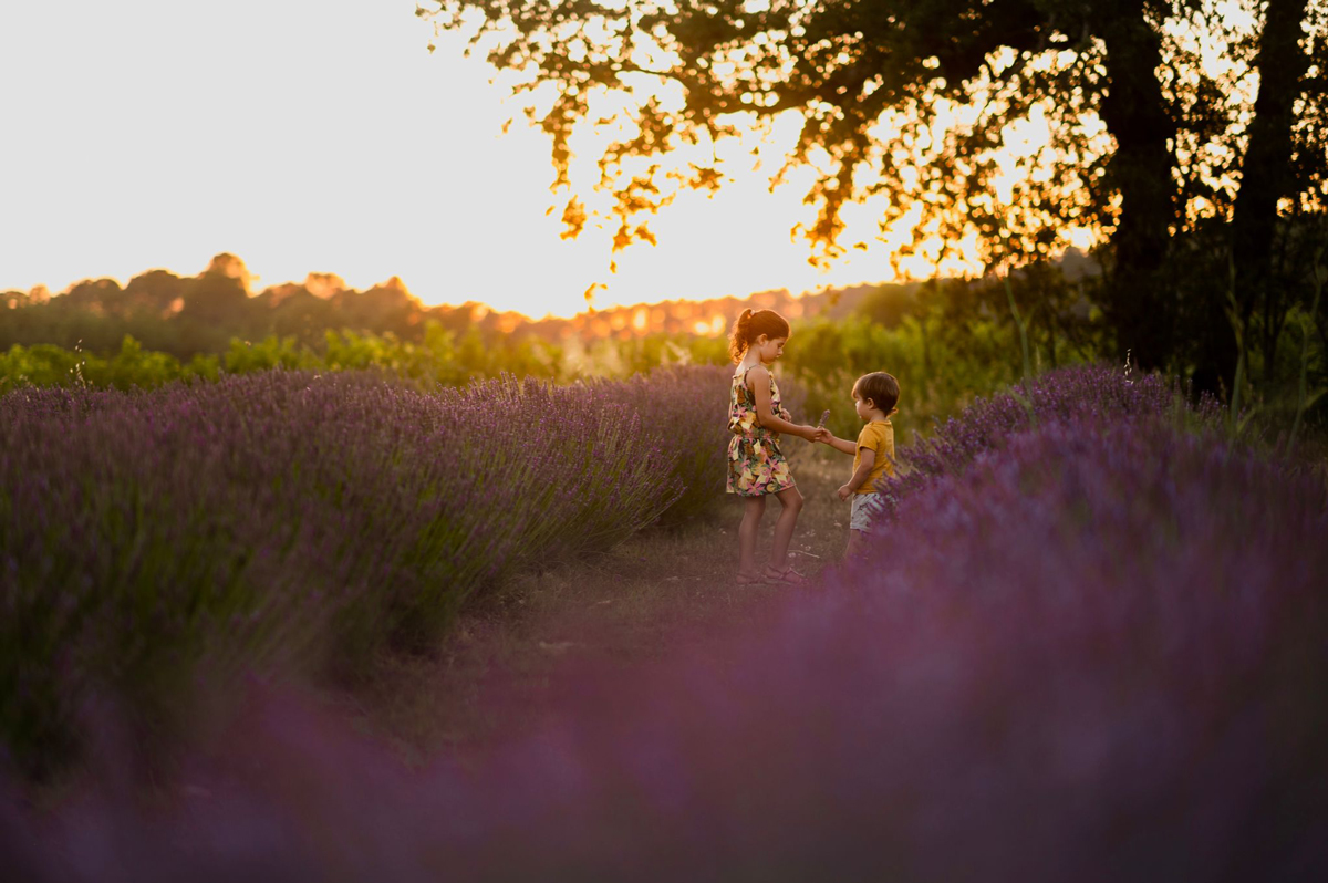 Photographe-famille-Provence-lavandes-83
