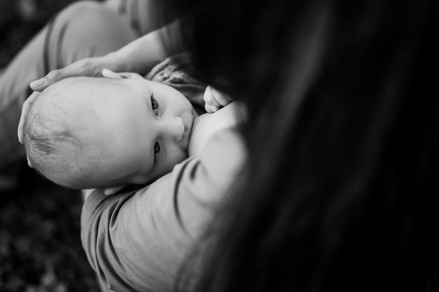 photo-bebe-allaitement-var