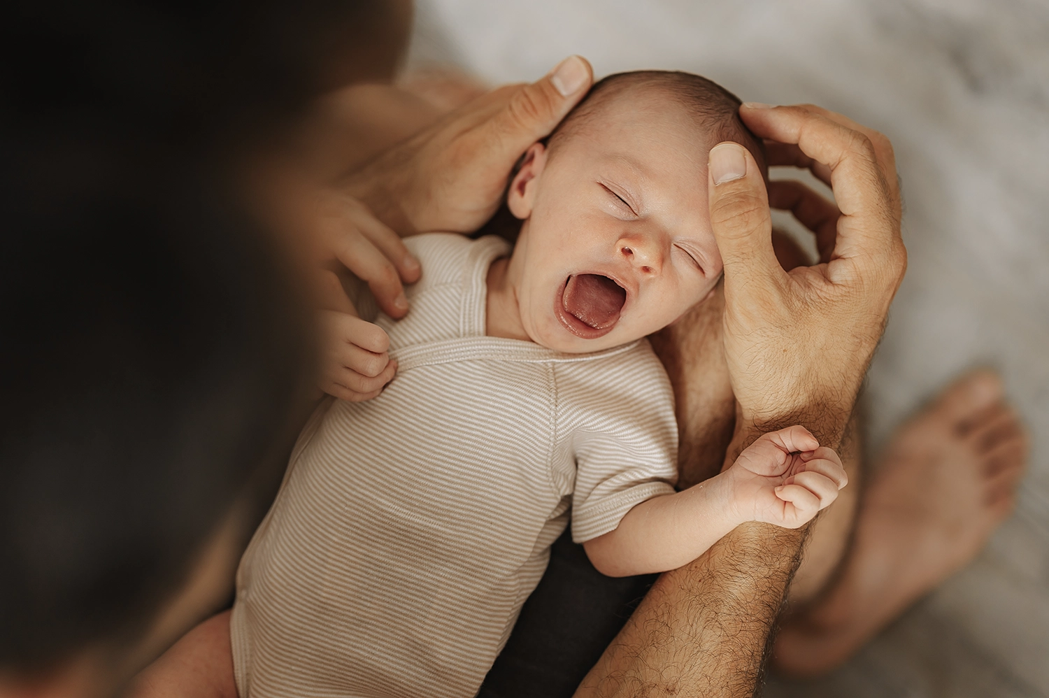 photographie naturelle