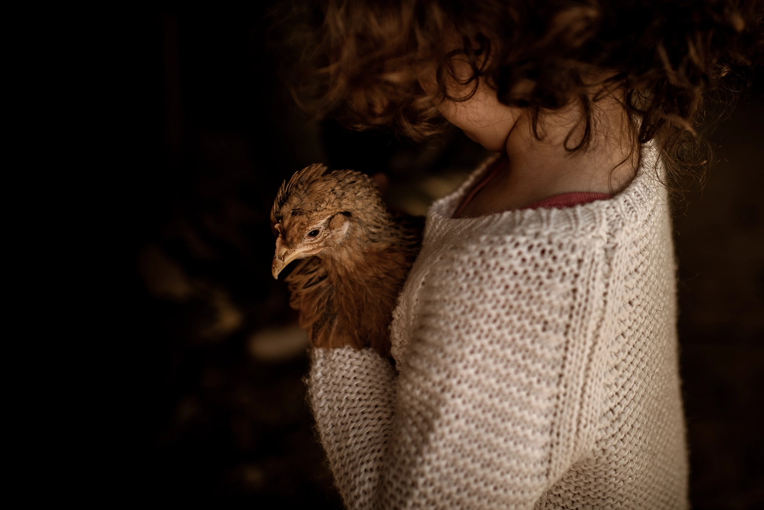 prix d'un shooting photo