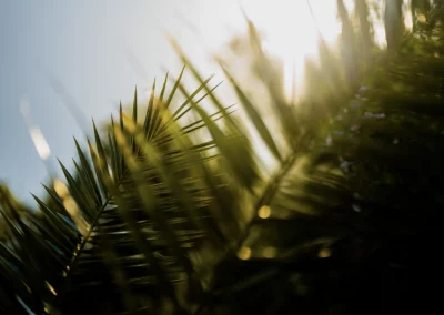 contacter photographe entreprise var