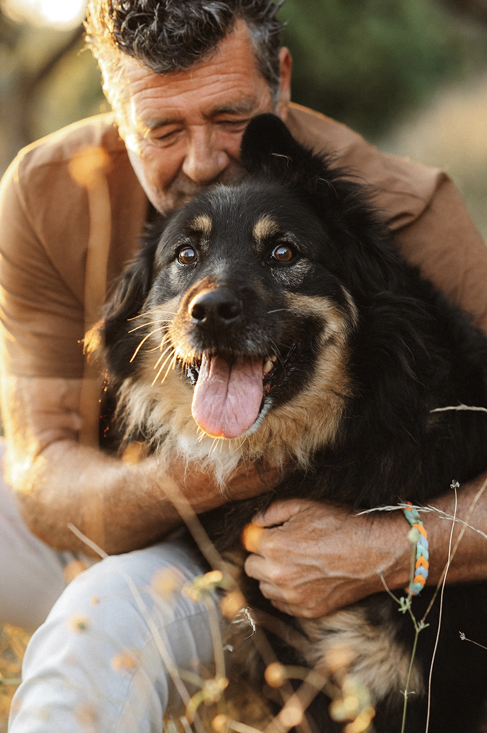 photographe animalier var