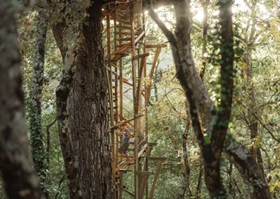 photos cabanes dans les arbres var