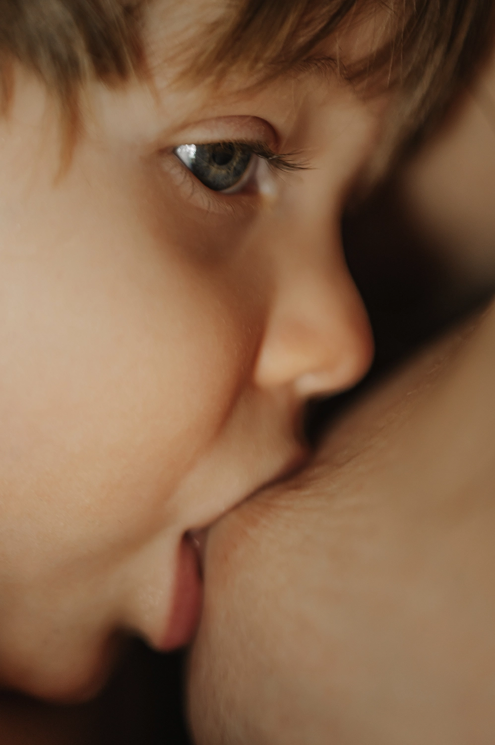 Photographe grossesse bébé 83