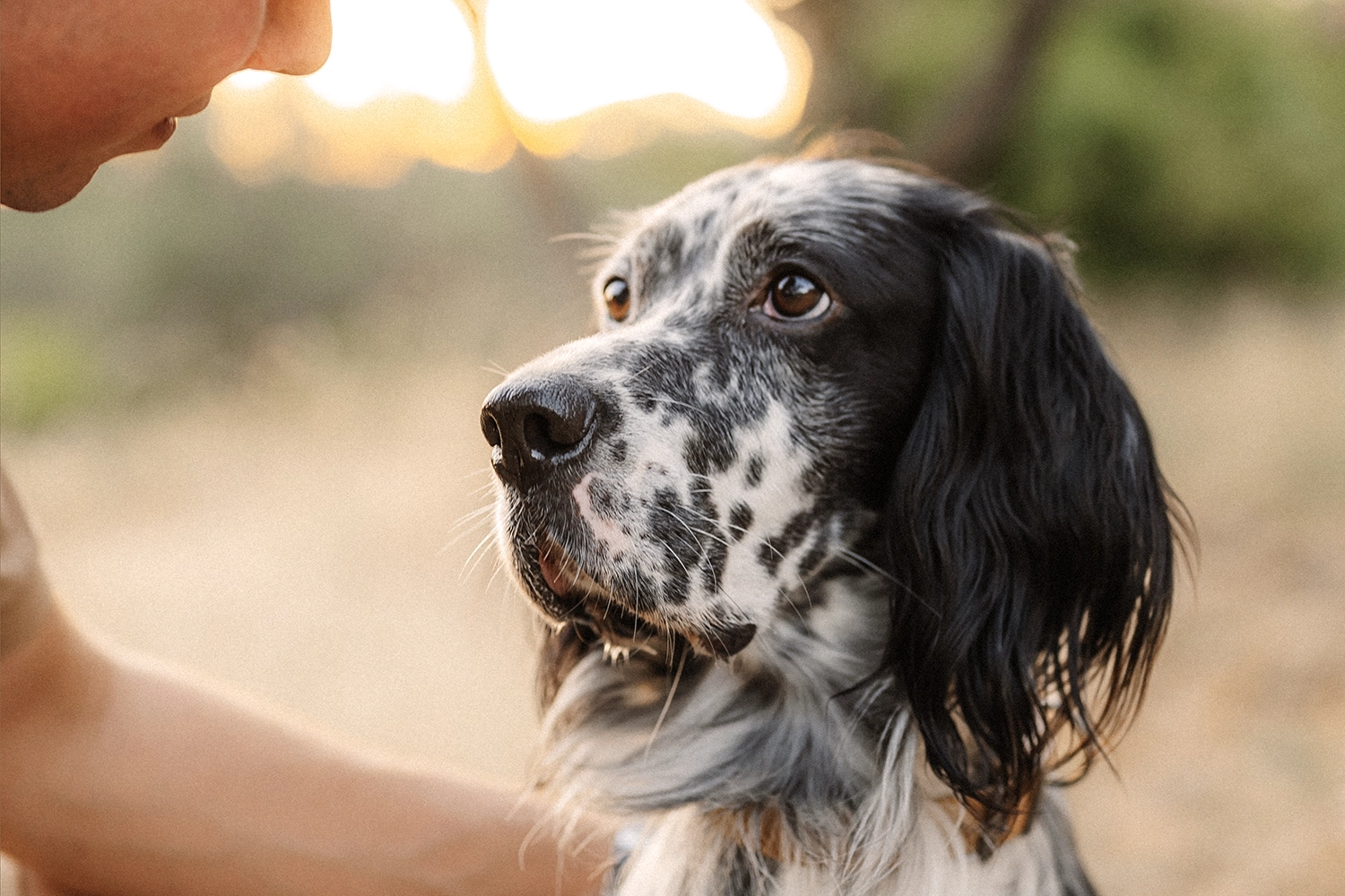 shooting photo allaitement