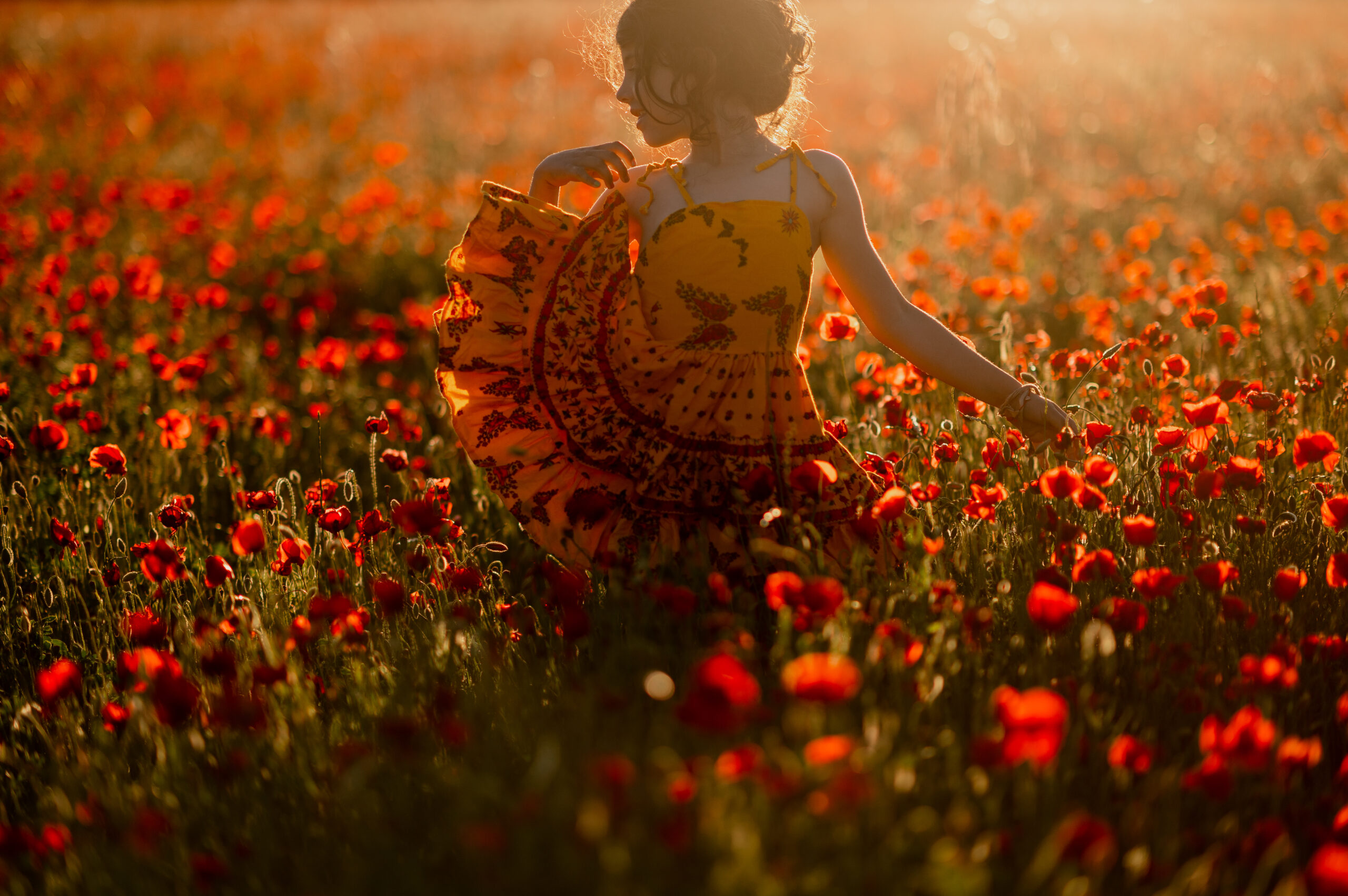 photo dans un champs de coquelicot