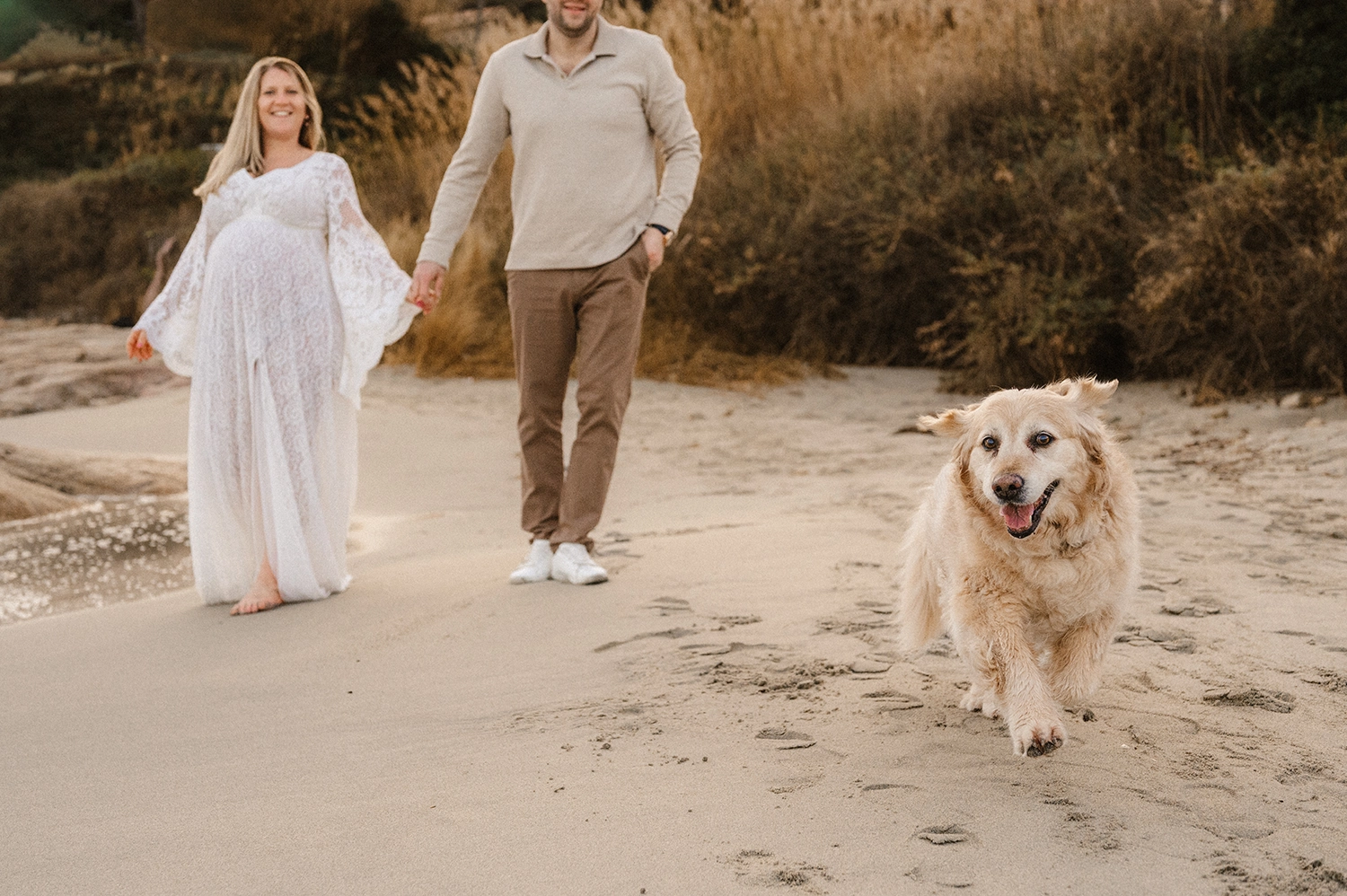 photo grossesse avec chien Var