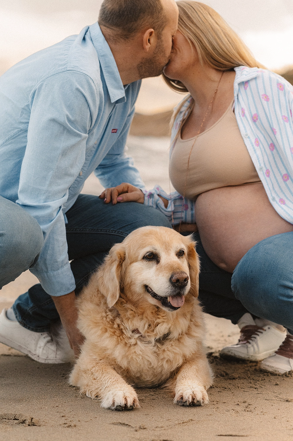 photo grossesse avec chien 