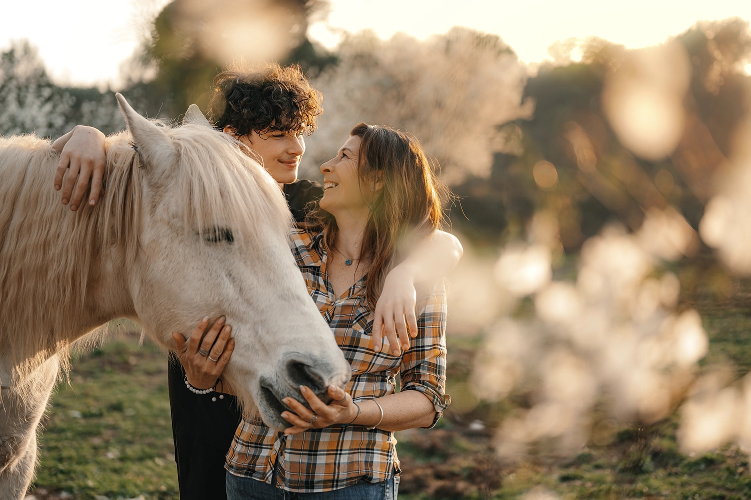 shooting photo cheval var